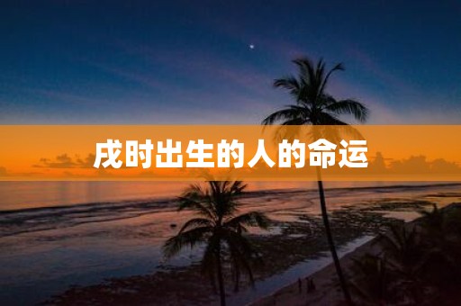 戌时出生的人的命运