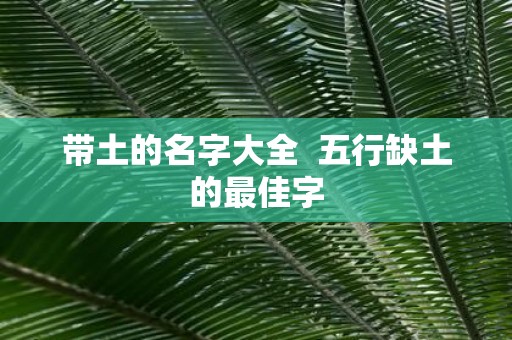 带土的名字大全 五行缺土的最佳字