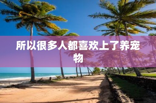 所以很多人都喜欢上了养宠物
