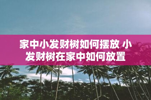 家中小发财树如何摆放 小发财树在家中如何放置