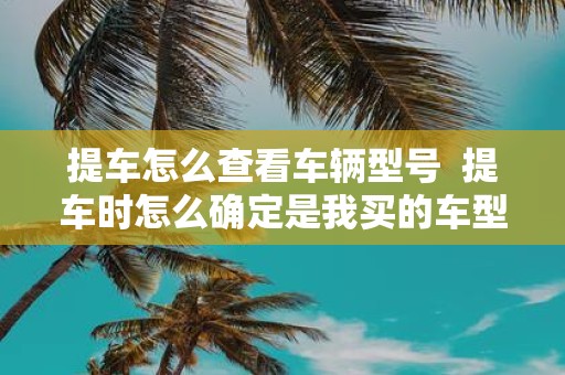 提车怎么查看车辆型号 提车时怎么确定是我买的车型