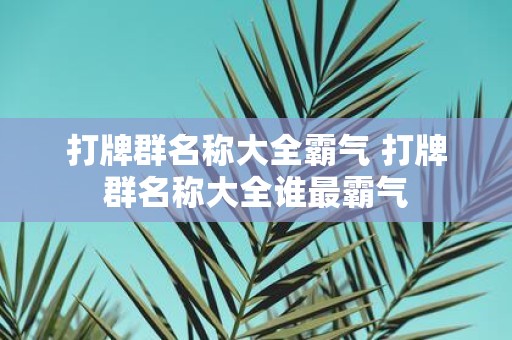 打牌群名称大全霸气 打牌群名称大全谁最霸气