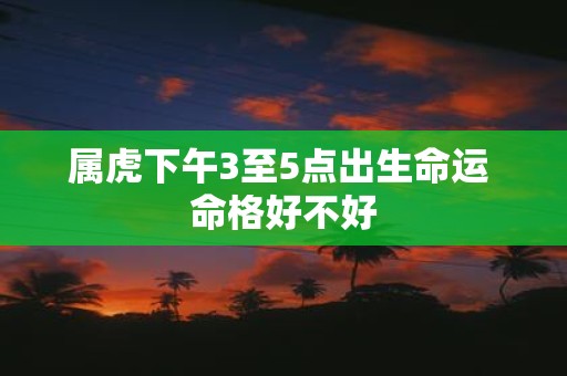 属虎下午3至5点出生命运 命格好不好