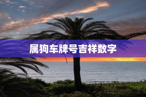 属狗车牌号吉祥数字