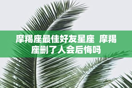 摩羯座最佳好友星座 摩羯座删了人会后悔吗