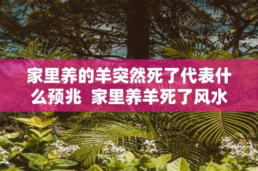 家里养的羊突然死了代表什么预兆 家里养羊死了风水