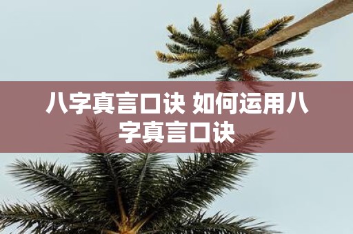 八字真言口诀 如何运用八字真言口诀