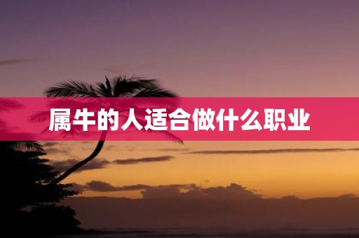 属牛的人适合做什么职业