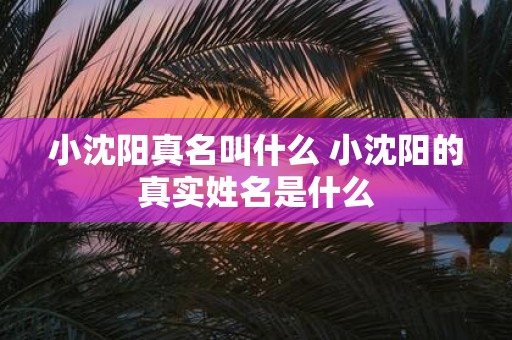 小沈阳真名叫什么 小沈阳的真实姓名是什么