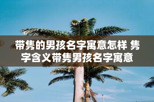 带隽的男孩名字寓意怎样 隽字含义带隽男孩名字寓意