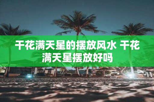 干花满天星的摆放风水 干花满天星摆放好吗