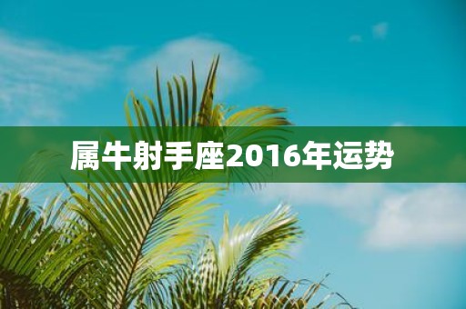 属牛射手座2016年运势