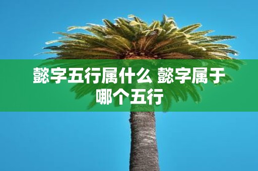 懿字五行属什么 懿字属于哪个五行