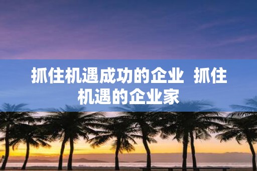 抓住机遇成功的企业 抓住机遇的企业家