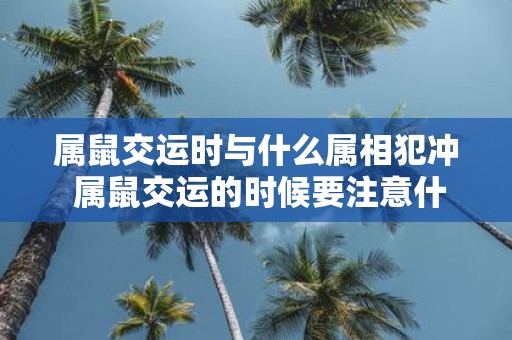 属鼠交运时与什么属相犯冲 属鼠交运的时候要注意什么