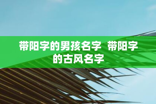 带阳字的男孩名字 带阳字的古风名字