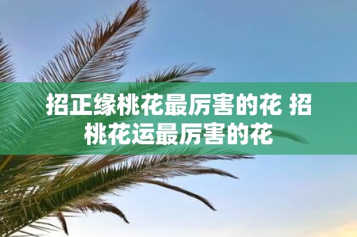 招正缘桃花最厉害的花 招桃花运最厉害的花