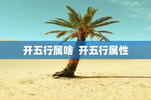 开五行属啥 开五行属性
