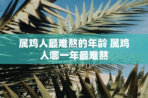 属鸡人最难熬的年龄 属鸡人哪一年最难熬
