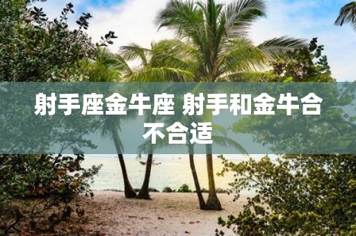 射手座金牛座 射手和金牛合不合适