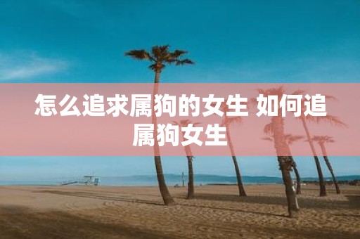 怎么追求属狗的女生 如何追属狗女生