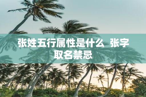 张姓五行属性是什么 张字取名禁忌