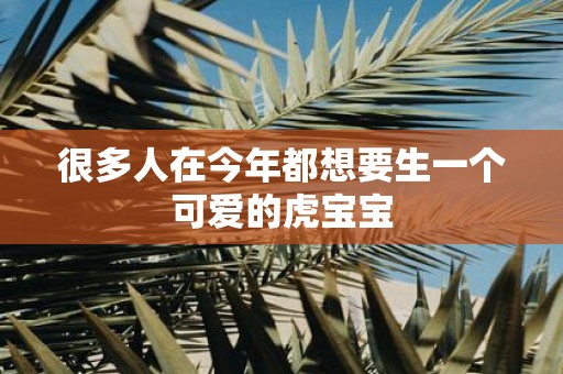 很多人在今年都想要生一个可爱的虎宝宝