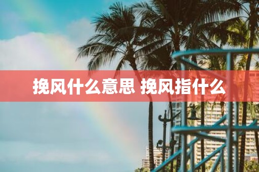 挽风什么意思 挽风指什么