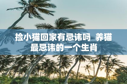 捡小猫回家有忌讳吗 养猫最忌讳的一个生肖