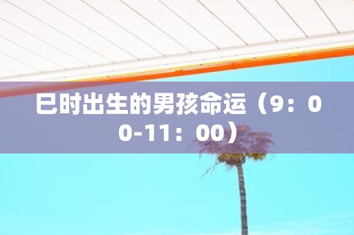 巳时出生的男孩命运（9：00-11：00）