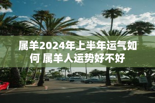 属羊2025年上半年运气如何 属羊人运势好不好