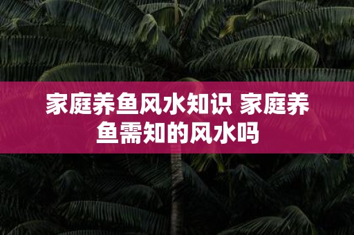 家庭养鱼风水知识 家庭养鱼需知的风水吗