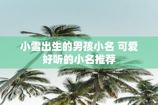 小雪出生的男孩小名 可爱好听的小名推荐