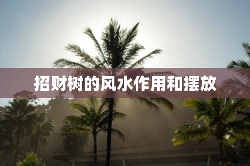 招财树的风水作用和摆放