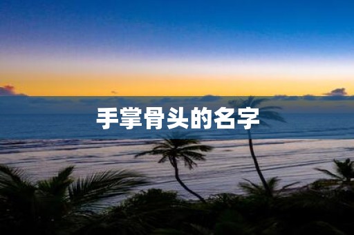 手掌骨头的名字