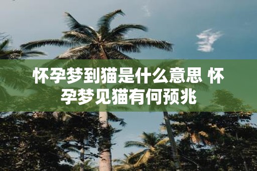 怀孕梦到猫是什么意思 怀孕梦见猫有何预兆