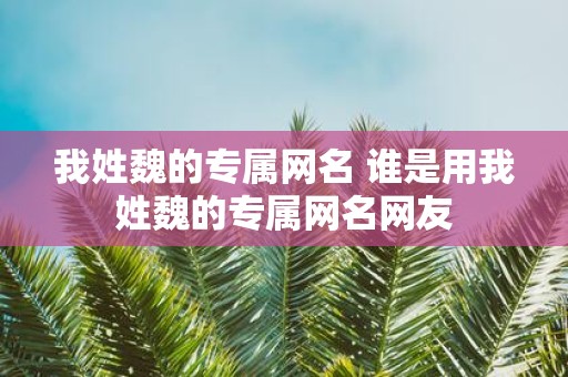 我姓魏的专属网名 谁是用我姓魏的专属网名网友