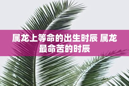 属龙上等命的出生时辰 属龙最命苦的时辰