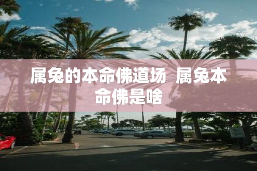 属兔的本命佛道场 属兔本命佛是啥