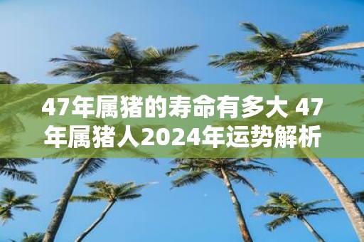47年属猪的寿命有多大 47年属猪人2025年运势解析