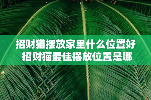 招财猫摆放家里什么位置好 招财猫最佳摆放位置是哪
