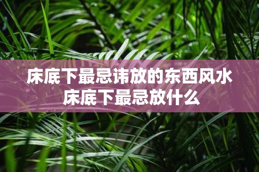 床底下最忌讳放的东西风水 床底下最忌放什么