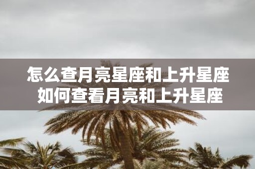 怎么查月亮星座和上升星座 如何查看月亮和上升星座