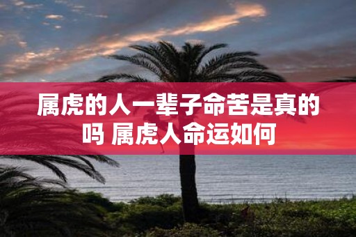 属虎的人一辈子命苦是真的吗 属虎人命运如何