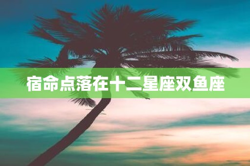 宿命点落在十二星座双鱼座