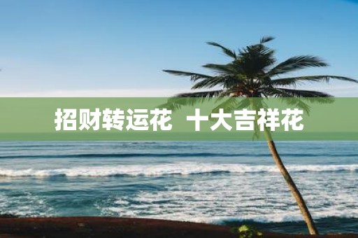 招财转运花 十大吉祥花