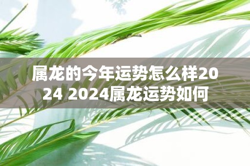 属龙的今年运势怎么样2025 2025属龙运势如何
