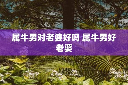 属牛男对老婆好吗 属牛男好老婆