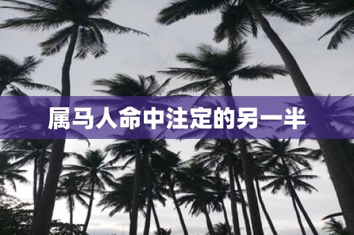 属马人命中注定的另一半