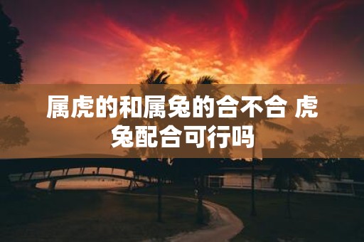 属虎的和属兔的合不合 虎兔配合可行吗